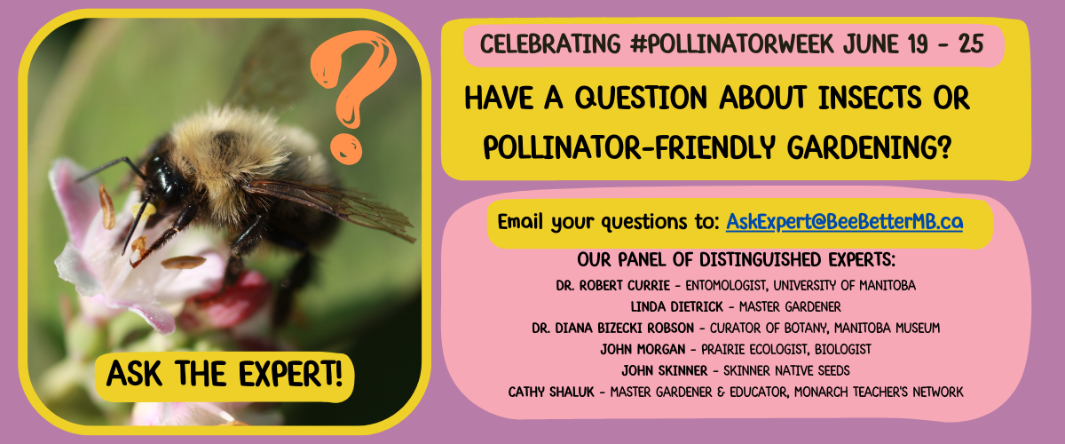 Pollinator week Ask the Expert