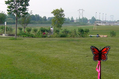 Whytridge butterfly garden